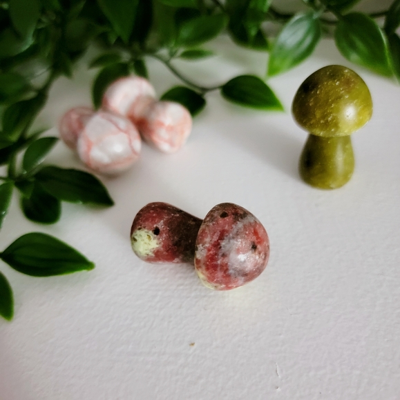 Mini mushrooms - Picture 4 of 10